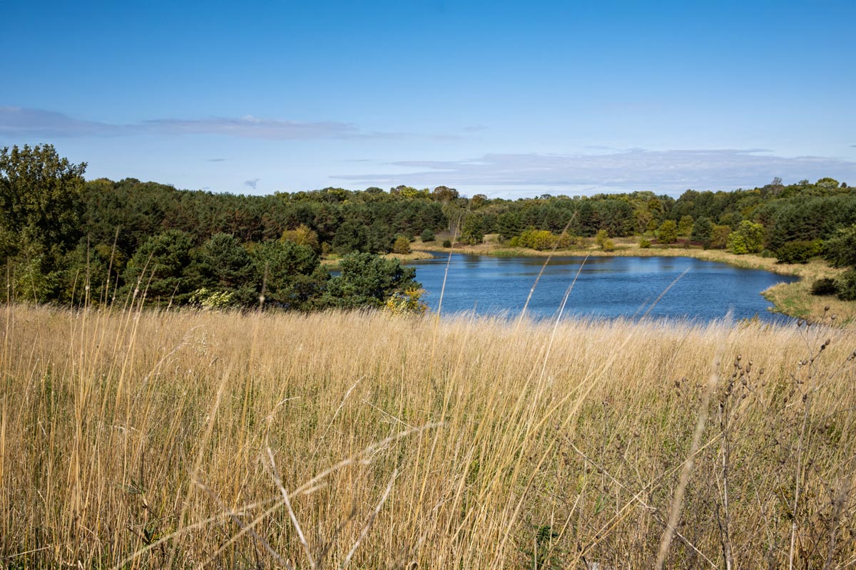 Minnesota landscape